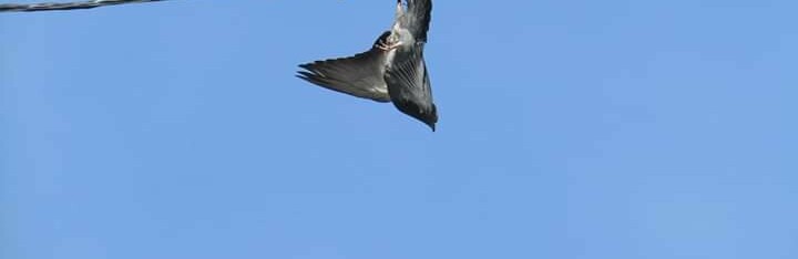  ��������� ��������� ���������� ������ ��������� �������� 