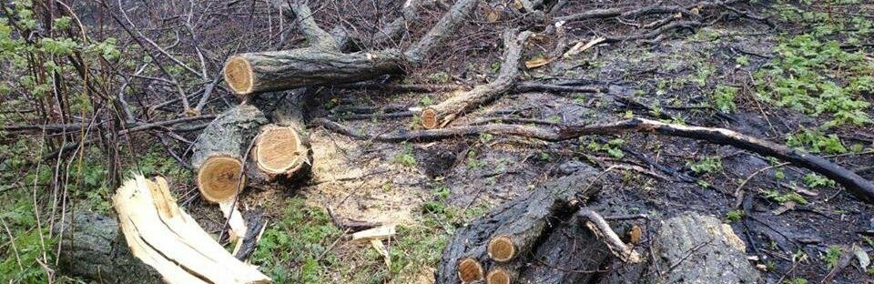  ����������� �������� ���������� ������� ���� ��������� 