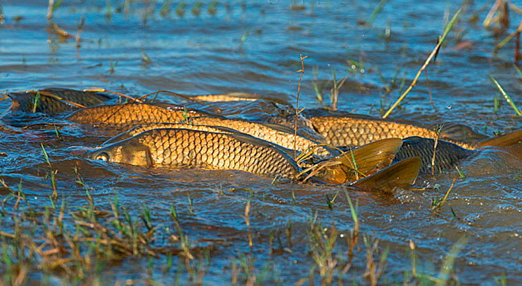  ���������������� ��������� 300 ����������� 