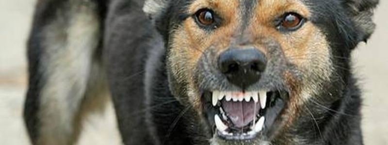  ������ ������� ����� ���������������� �������� ������ ������ ������ 