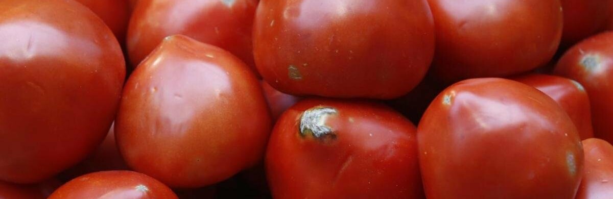  ���������������� ������� ���������� ���� ���������� ��������� 