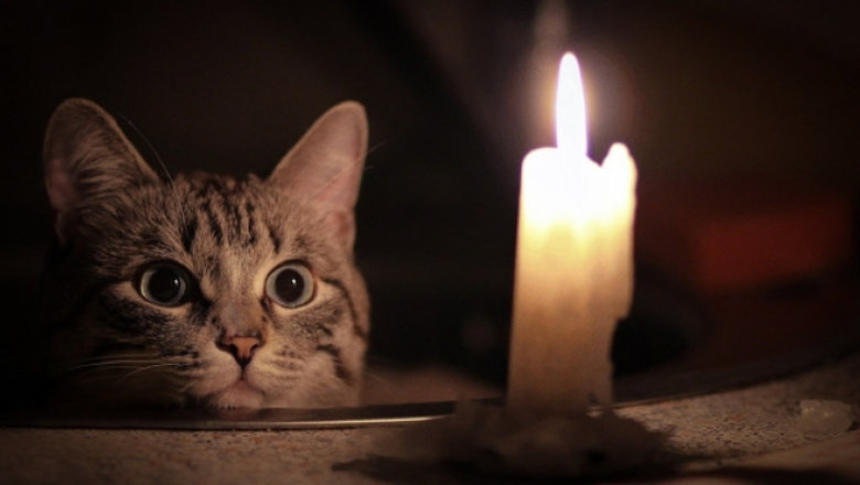 ����: 5692.com.ua