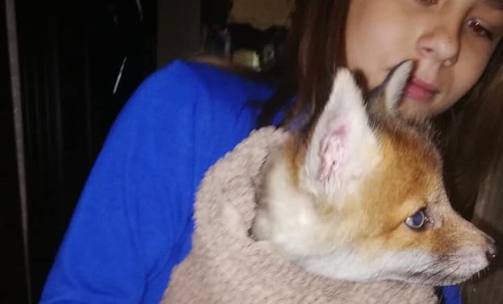 ����: 5692.com.ua