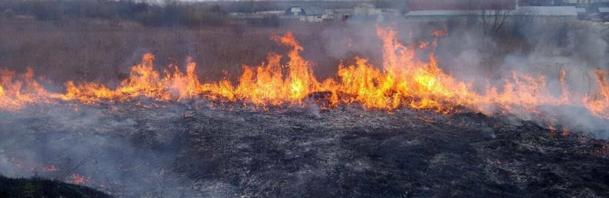  ��������� �������� ��������� �������������� ������ ����� ��������� ��� 