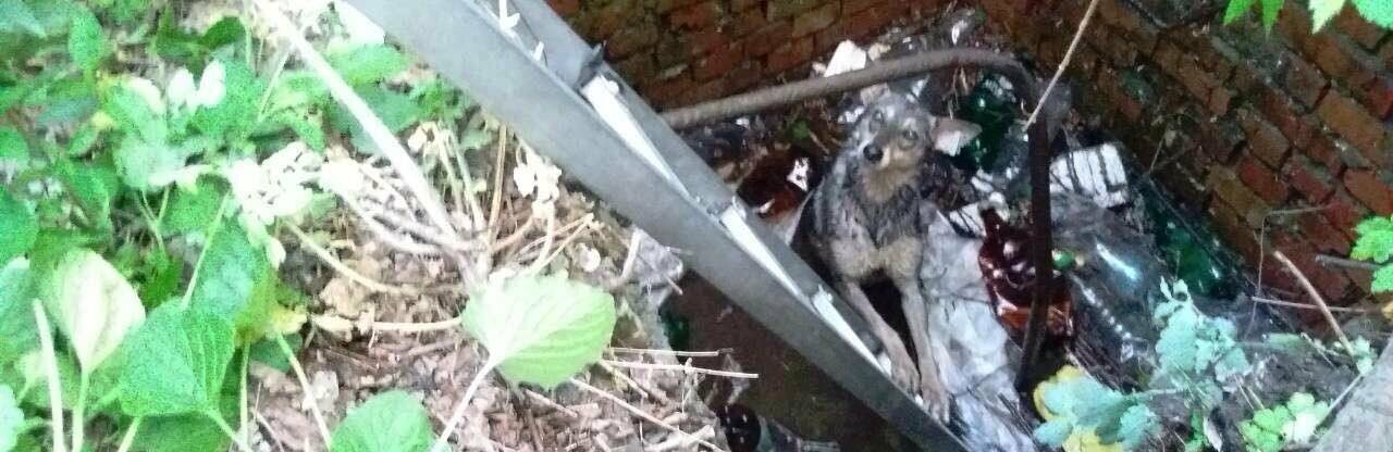  ����� ��� ����� ��������� ������ ������ 