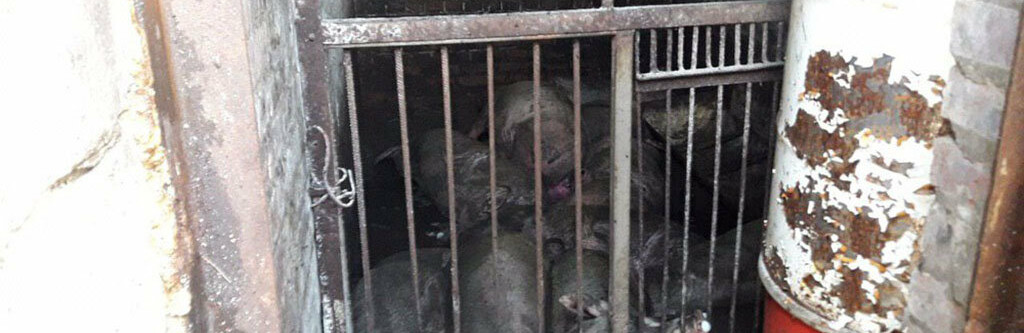 ����: 5692.com.ua