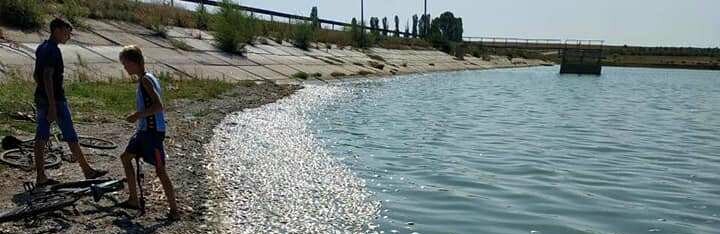  ������������� ���������� ���������������� ������� ������ ���� 