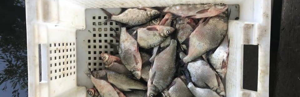  ��������� ������������� ��������� ���������� 