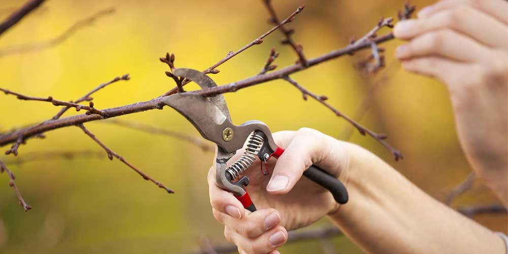  ��������� ����� �������� �������� ����� 