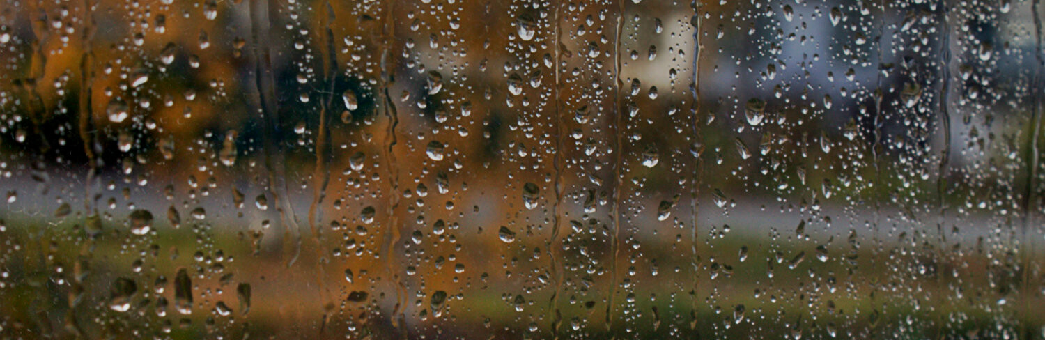  �������� ��������� ������ ��������� ��������� ��� 