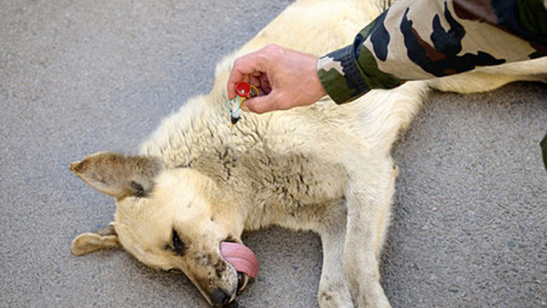  ������� ����������� ������ ����� ��������� ��������� ������� ���������� 