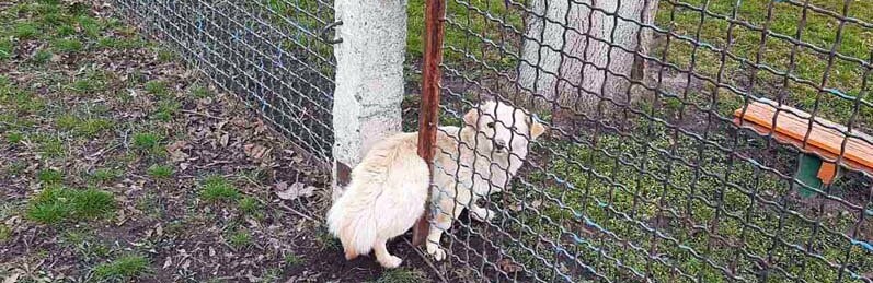  ��������� ������ �������� ������ �������� ���� 