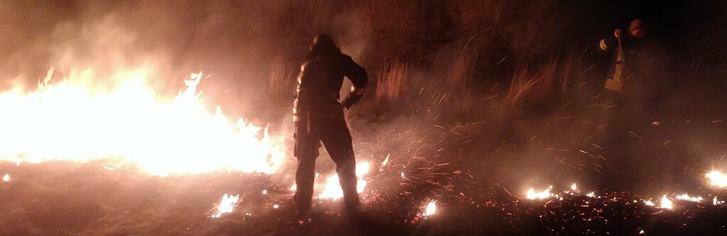  ���������� ������ ���� �������� �������� 