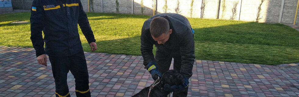  ����������� ������ 12-��������� ������� ������ ������ 