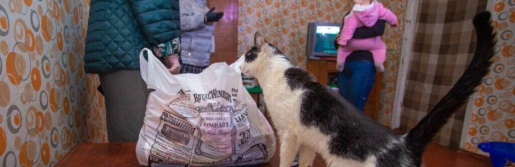  ��������� ��������� ����������� ��������� ���������� ������ ��������� 