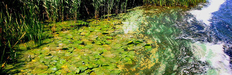  ����� ���������� ���� ����� 