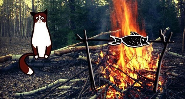  ���������� ����������� ������ ���� 