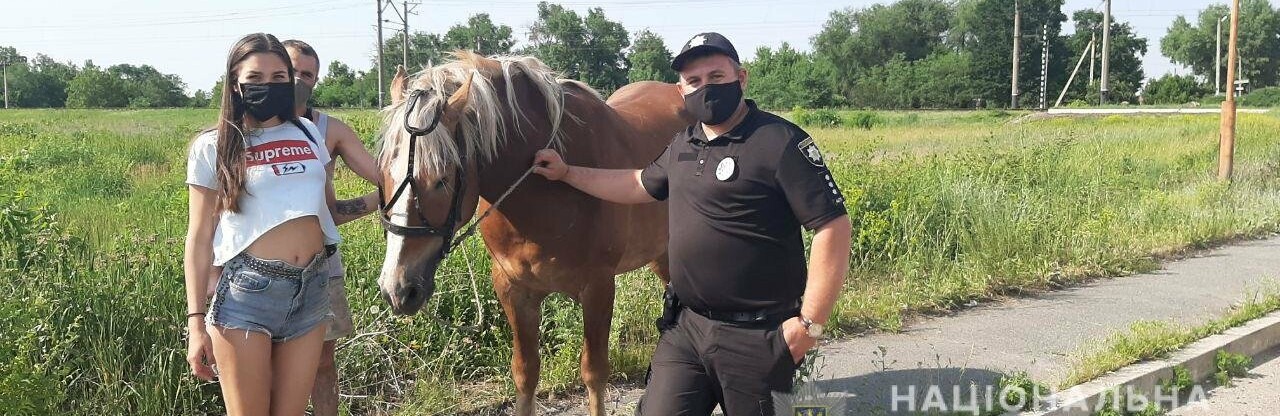  ��������� ������ ����������� ���� 