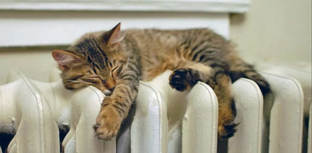  ���������������� ������� ��������� ���� 