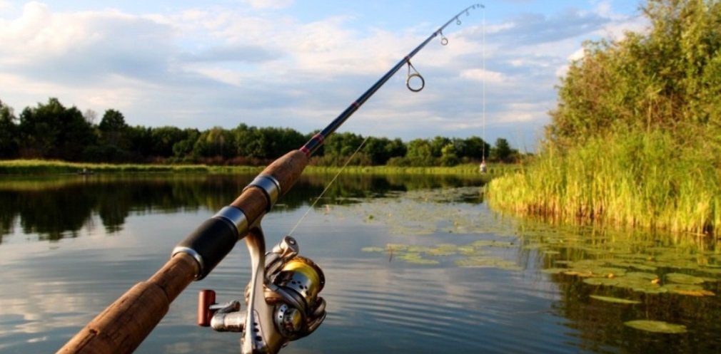  ��������� ���������� ���������� ������� 