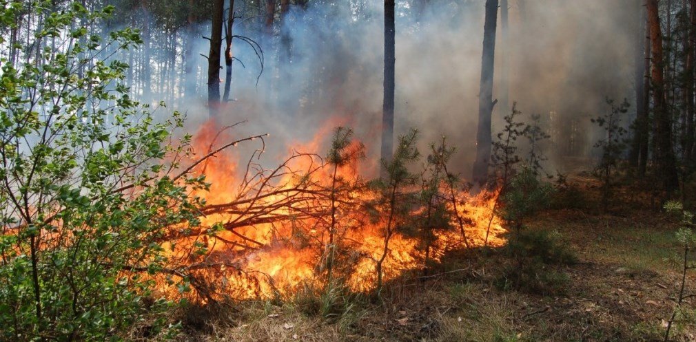  ���������� ��������� ������ ���� 