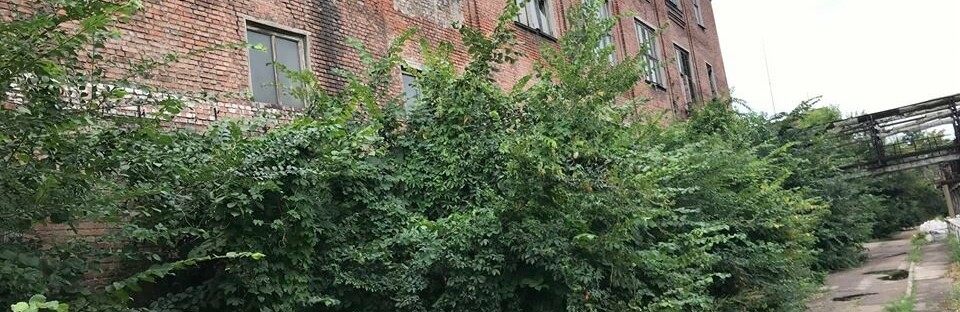  ������ ��� ��������� ������������� ������ 