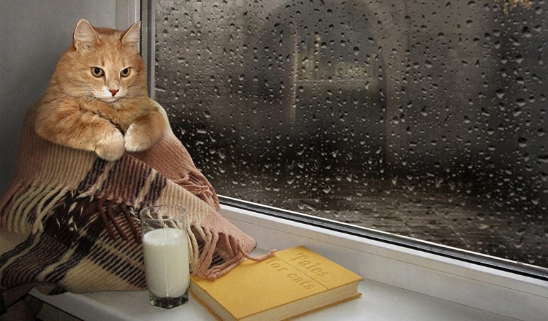  ������ ��������� ��������� ��� 