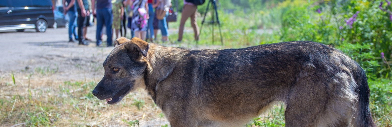  ����� �������� ��������� ������� �������� ������ 