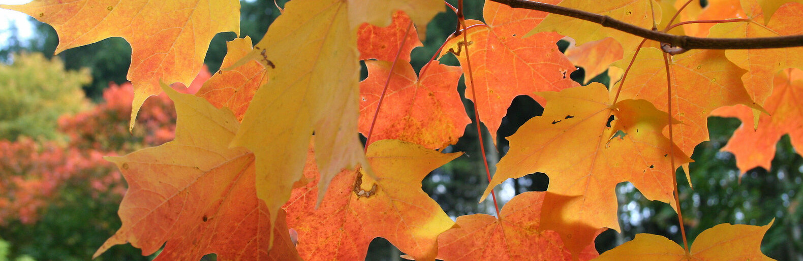 ����: 5692.com.ua