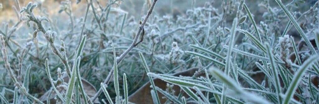 ����: 5692.com.ua