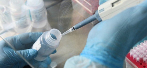  ��������� ������� ������ covid-19 