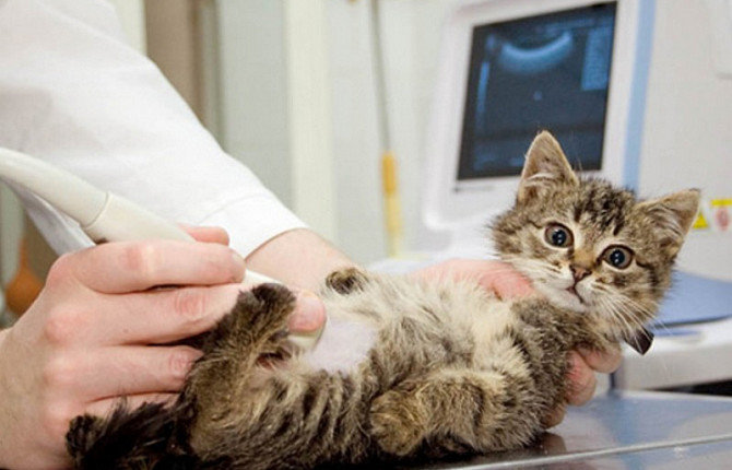  ��������� ����� ������ ������� ��� �������� 