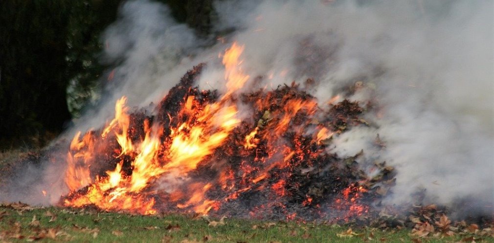  ����� ������� ������ 