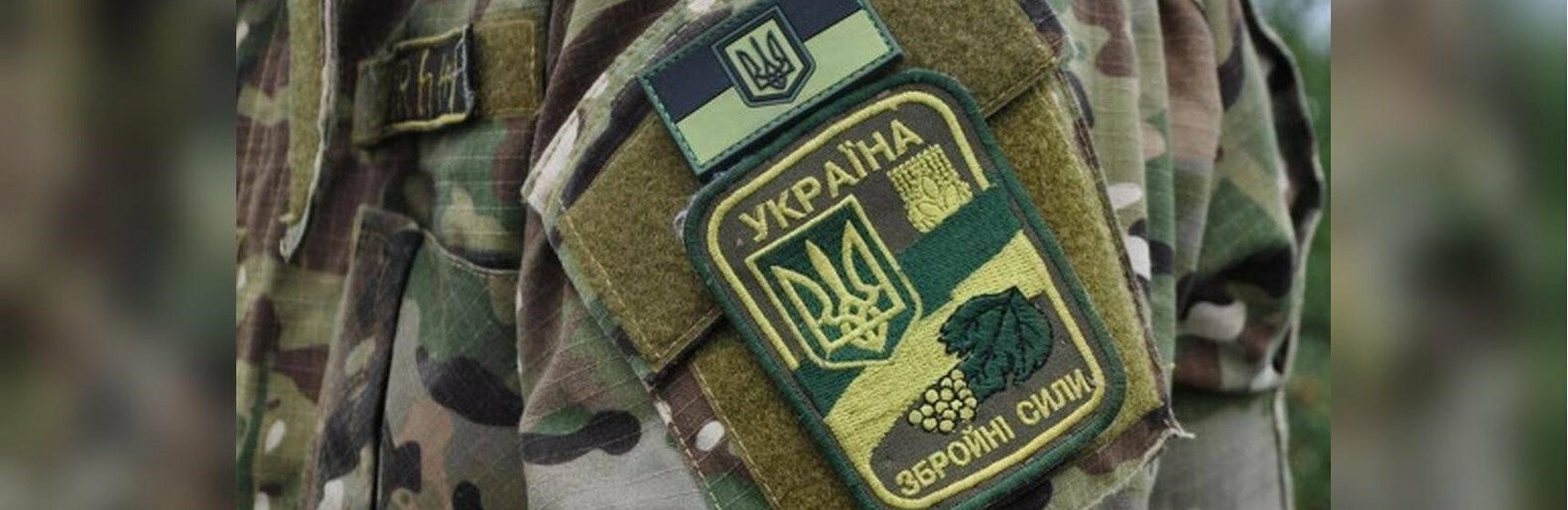  ������� ����� �������� 650 ����������� ���������������� 