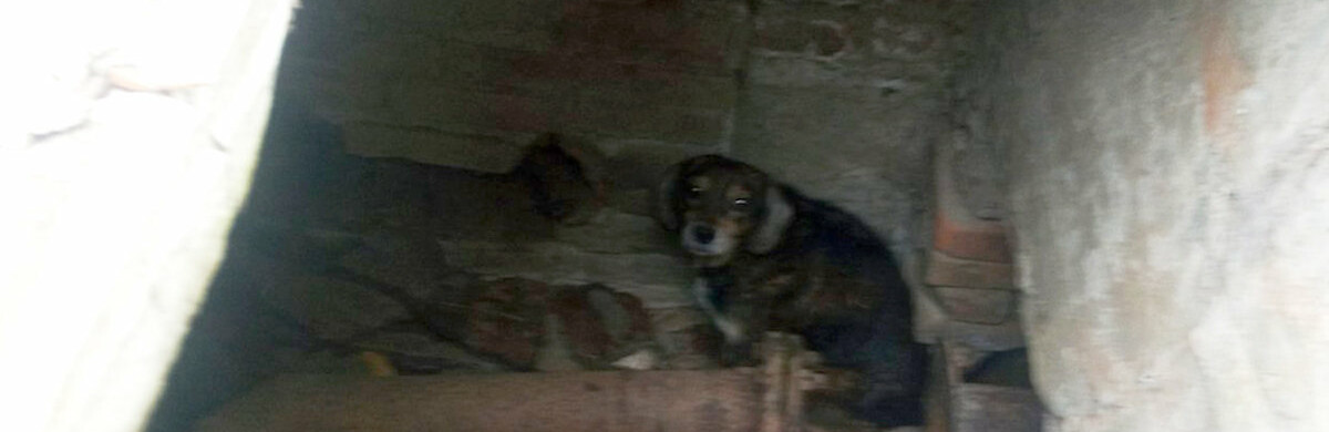  ���������������� ����� ������� 