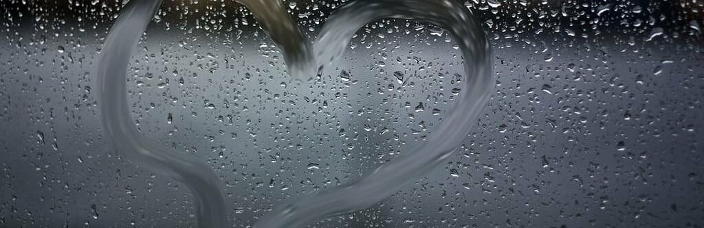  ������ ������������ ��������� ��������� 