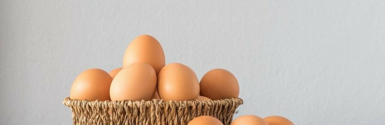  ���� �������� ���� ������ ��������� ����� 