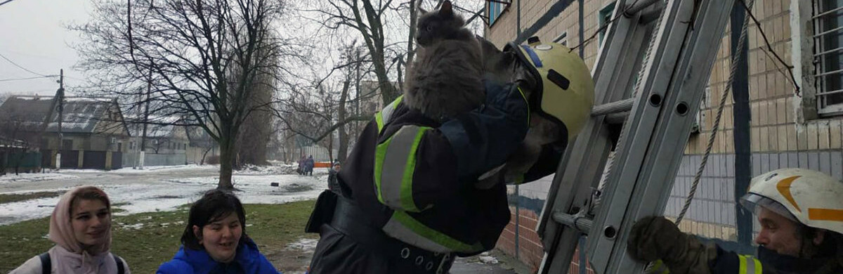 ����: 5692.com.ua