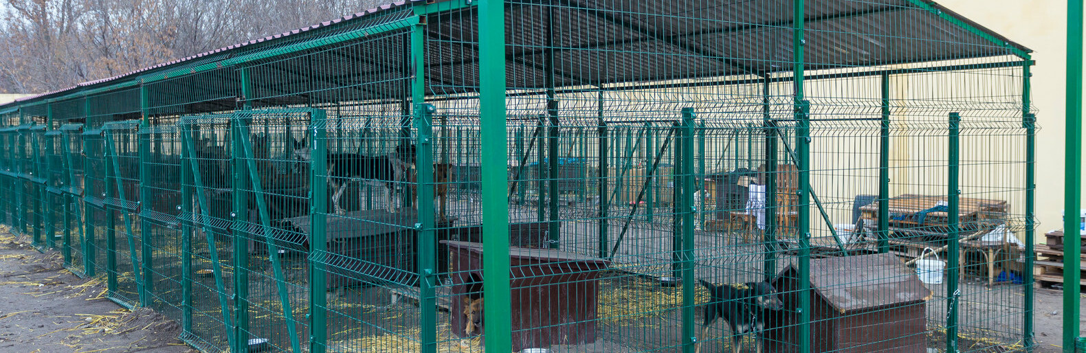  ������������� ����� �������� ��������� 