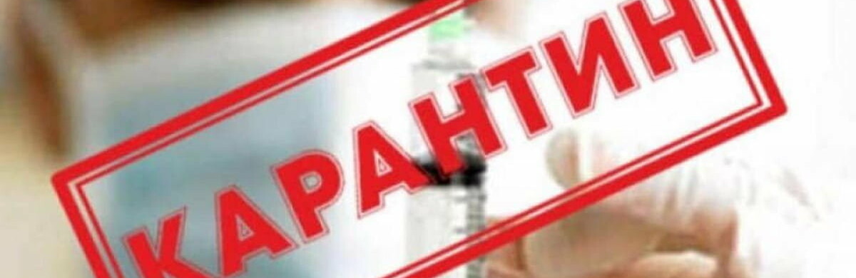  �������� ������� ������� 