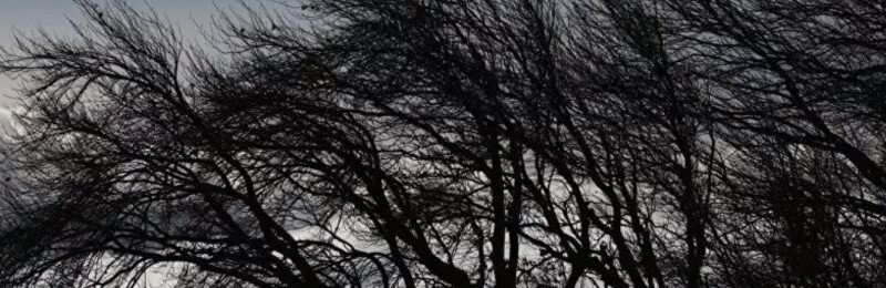  ������ ������� �������� �������� 