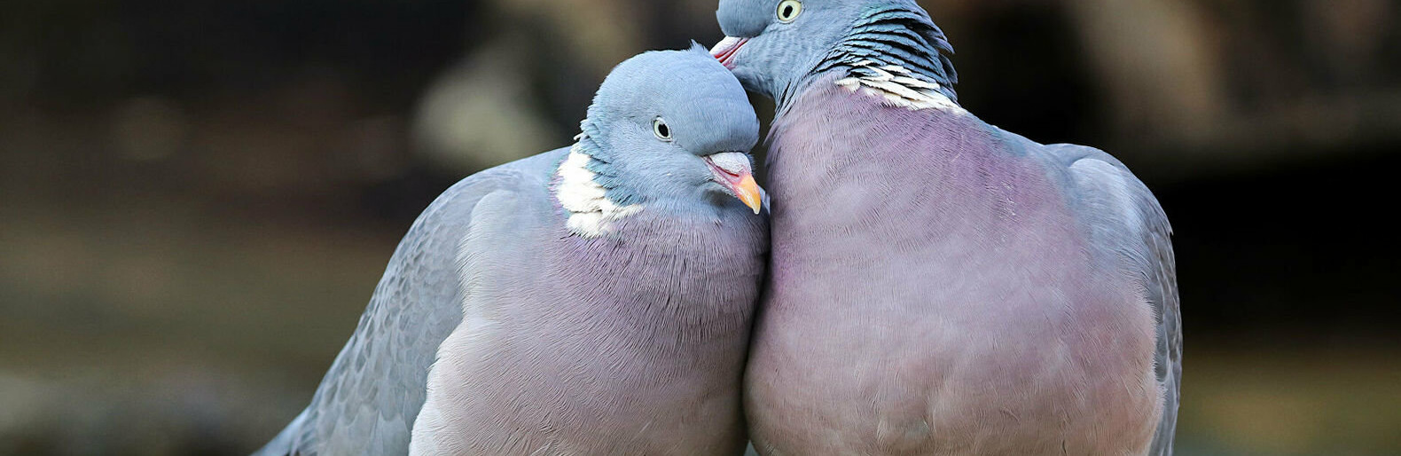 ����: 5692.com.ua