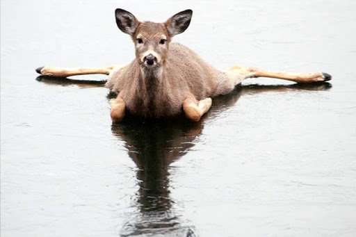  ������ ������� ��������� ������ ��������� 