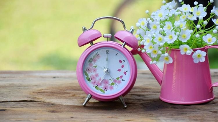  �������� ������� ������� ���� ������� ��� 