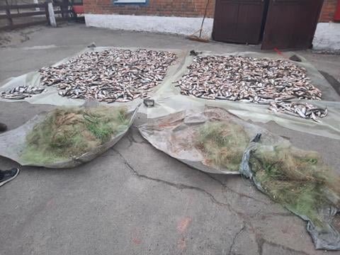 ����: 5692.com.ua