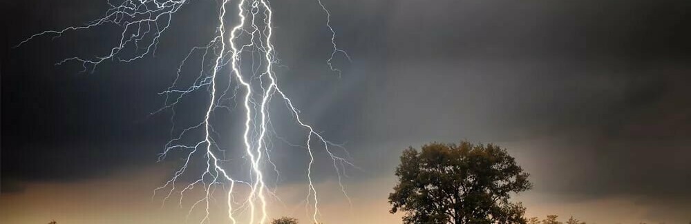  ������ ��������� �������� ��������� ����� 