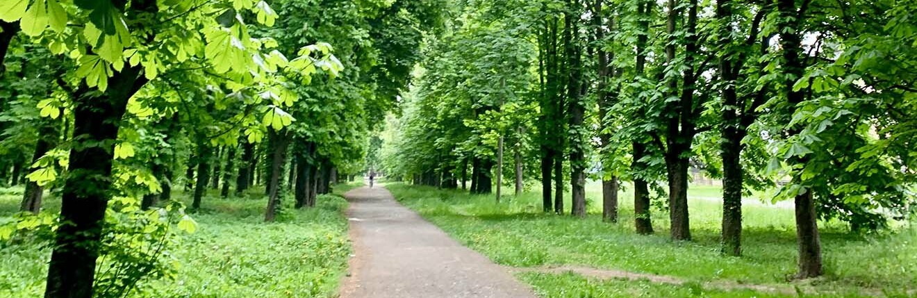 У Кам'янському провели акцію з озеленення міста