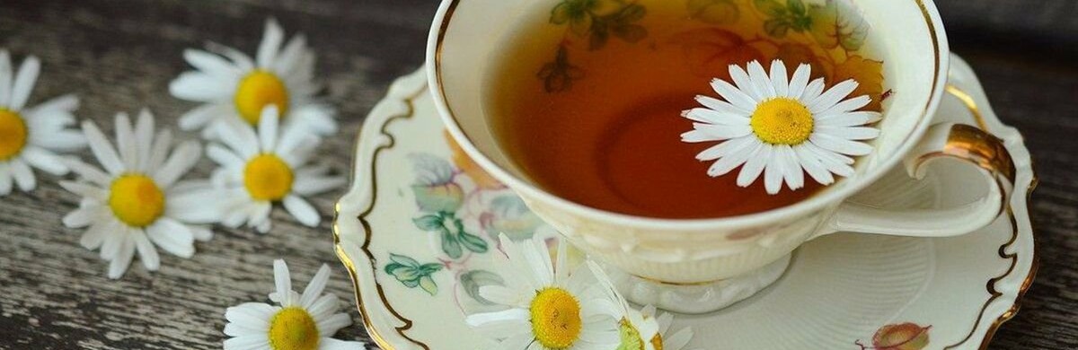 Ромашковий чай: користь, про яку мало хто знає