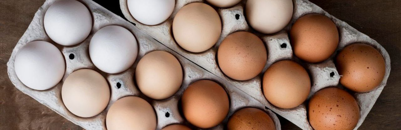 Чим відрізняються білі яйця від коричневих та які з них корисніші: розвінчуємо популярний міф