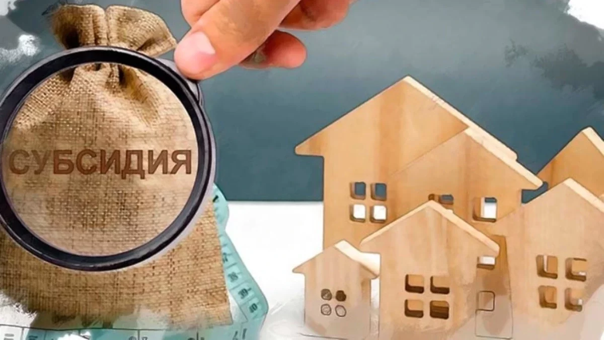 Які покупки не можна робити, щоб не залишитися без субсидії